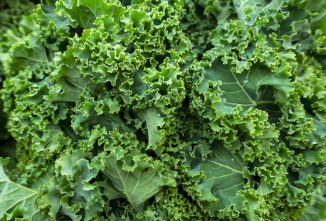 Growing Cold-Hardy Vegetables
